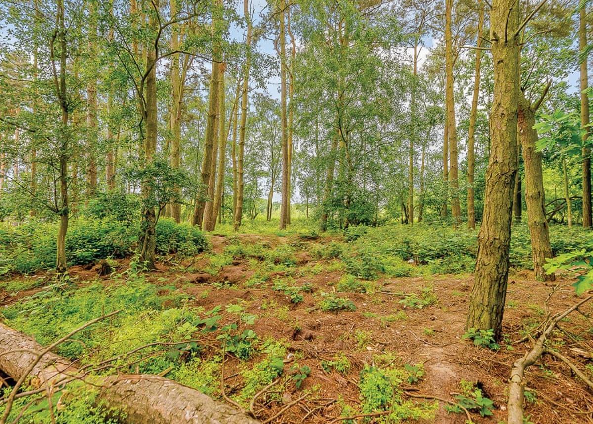 Woodhall Country Park Lodges Woodhall Spa Exteriér fotografie